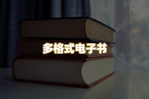 多格式电子书